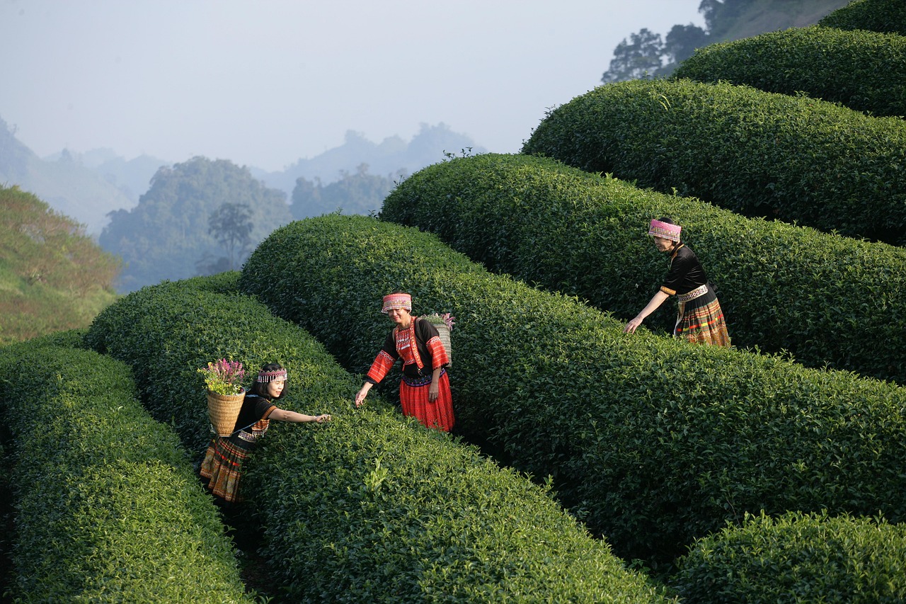 wedding-photography-06 camping, picnic, lunch, dining, travel, tour, experience, vietnam, nature, landscape